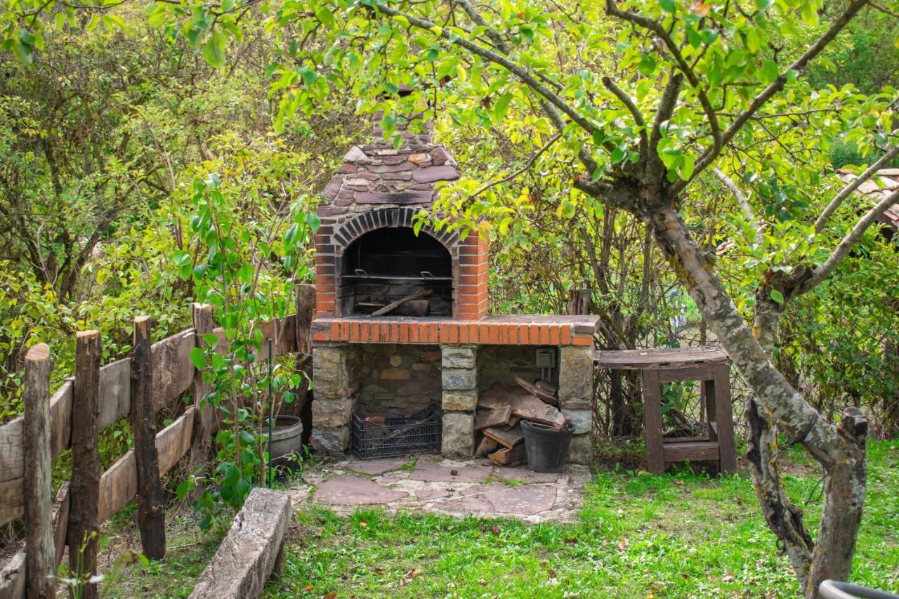 Casa Monaut, Acogedores Apartamentos A Los Pies De La Selva De Irati Saragueta Dış mekan fotoğraf