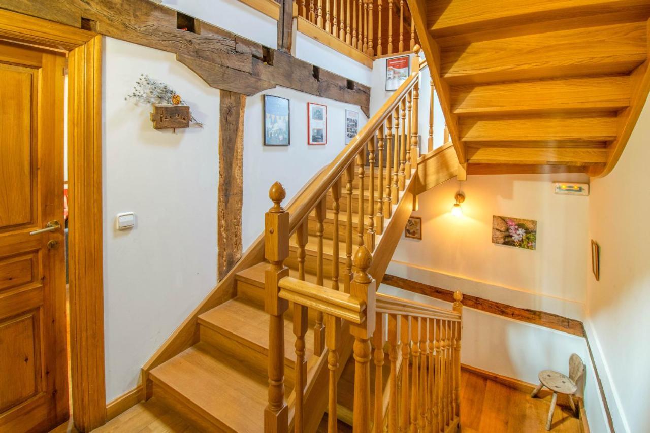 Casa Monaut, Acogedores Apartamentos A Los Pies De La Selva De Irati Saragueta Dış mekan fotoğraf